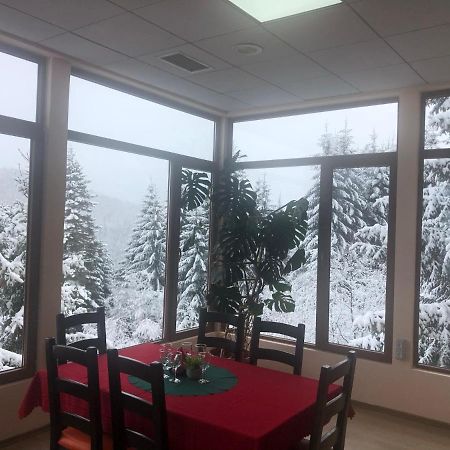 Genco Hotel Mountain View Predeal Exterior photo