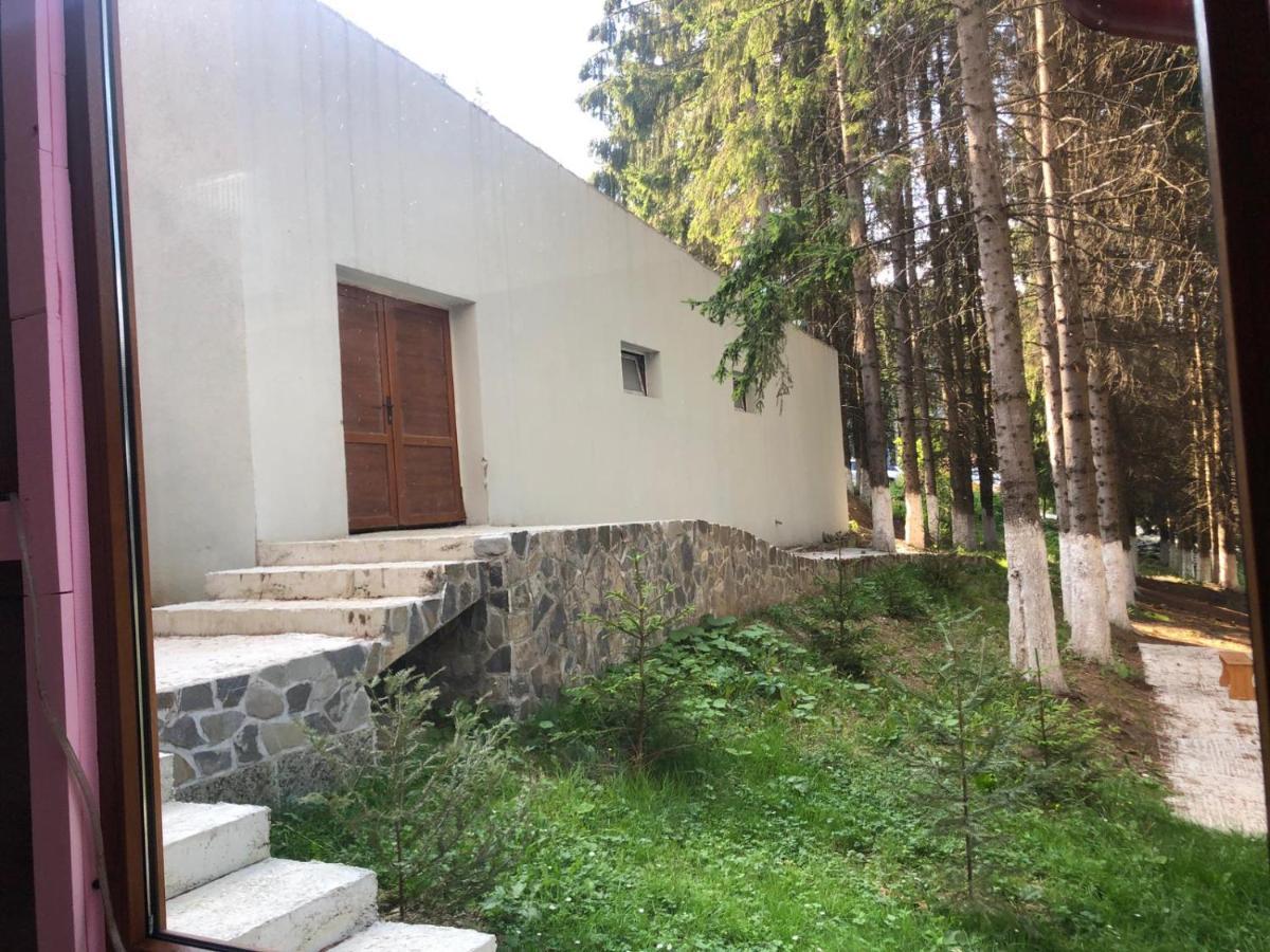 Genco Hotel Mountain View Predeal Exterior photo