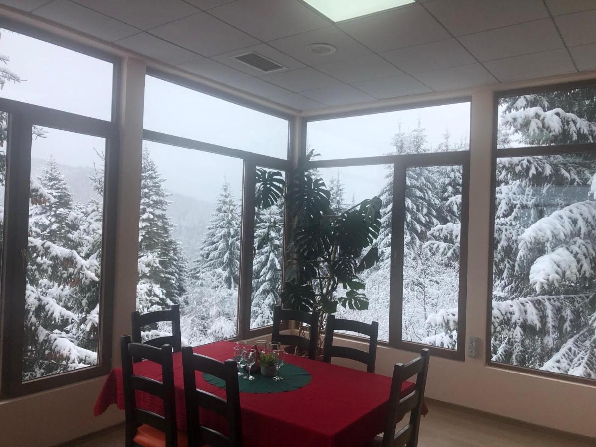 Genco Hotel Mountain View Predeal Exterior photo